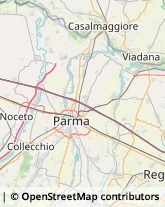 Frutta e Verdura - Dettaglio Parma,43100Parma