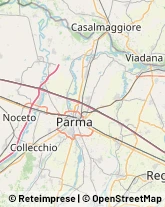 Macellerie Equine Parma,43100Parma