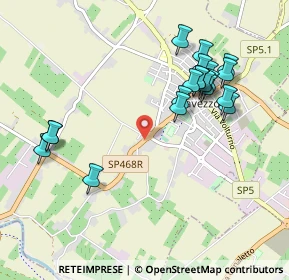 Mappa SP468R, 41032 Cavezzo MO, Italia (1.036)