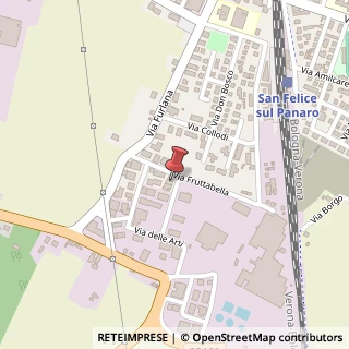 Mappa Via dei Mestieri, 50, 41038 San Felice sul Panaro, Modena (Emilia Romagna)