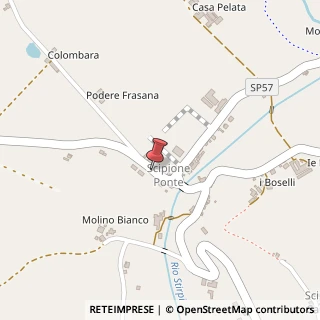 Mappa via scipione passeri, 189, 43039 Salsomaggiore Terme, Parma (Emilia Romagna)