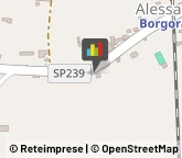 Aziende Agricole,15013Alessandria