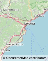 Rosticcerie e Salumerie Savona,17100Savona