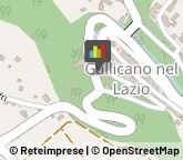 Officine Meccaniche Gallicano nel Lazio,00010Roma
