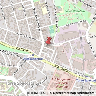 Mappa Via delle Viole, 11, 00172 Roma, Roma (Lazio)