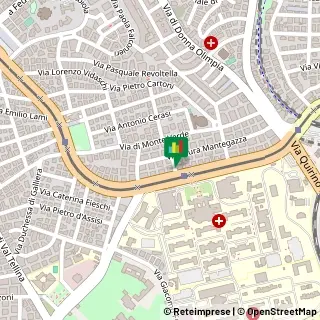 Circonvallazione Gianicolense, 130/E,00152Roma