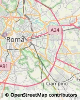 Feste - Organizzazione e Servizi Roma,00155Roma