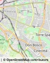 Feste - Organizzazione e Servizi Roma,00174Roma