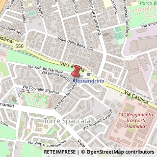 Mappa Via Pietro Romano, 42, 00169 Roma, Roma (Lazio)
