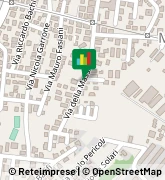 Via della Massimilla, 170,00166Roma