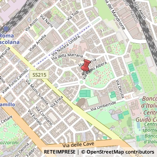 Mappa Via Paolo Albera, 11, 00181 Roma, Roma (Lazio)