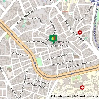 Via Pietro Cartoni, 45/47,00152Roma
