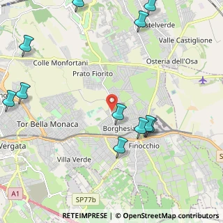 Mappa Via Borghesiana, 00132 Roma RM, Italia (2.88455)