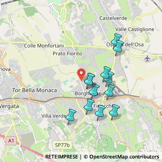 Mappa Via Borghesiana, 00132 Roma RM, Italia (1.79417)