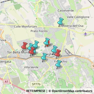 Mappa Via Borghesiana, 00132 Roma RM, Italia (1.61091)