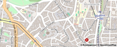 Mappa Rome