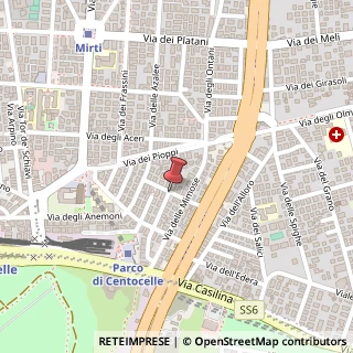 Mappa Via dei Licheni,  13, 00172 Roma, Roma (Lazio)