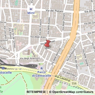 Mappa Via delle Begonie, 30, 00172 Roma, Roma (Lazio)