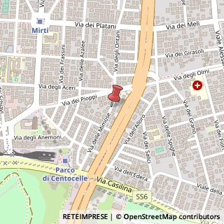 Mappa Via delle Mimose,  10, 00172 Roma, Roma (Lazio)