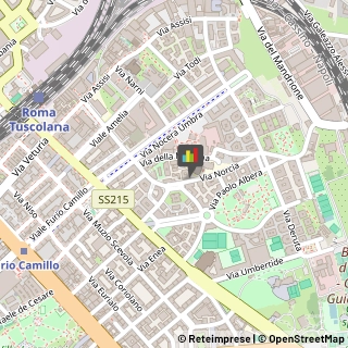 Feste - Organizzazione e Servizi,00181Roma