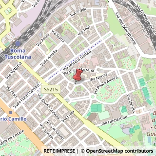 Mappa Via San Domenico Savio,  23, 00181 Roma, Roma (Lazio)