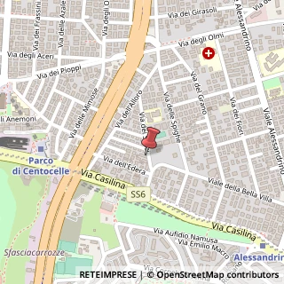 Mappa Via dei Salici, 50, 00172 Roma, Roma (Lazio)