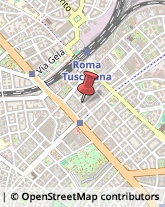 Via Niso, 26,00181Roma