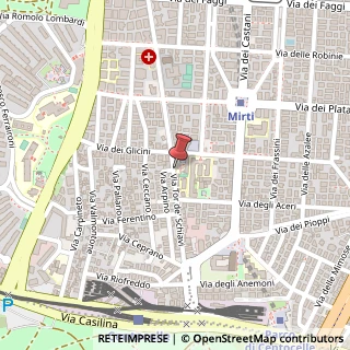 Mappa Via di Tor de' Schiavi,  69, 00172 Roma, Roma (Lazio)