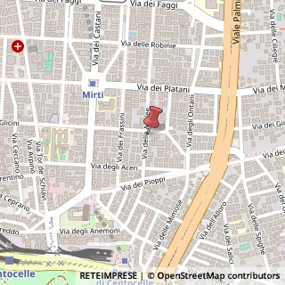 Mappa Via Delle Azalee, 32, 00172 Roma, Roma (Lazio)