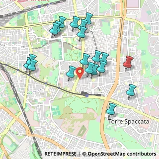 Mappa Via Carpineto, 00172 Roma RM, Italia (1.0625)