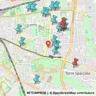 Mappa Via Carpineto, 00172 Roma RM, Italia (1.2595)