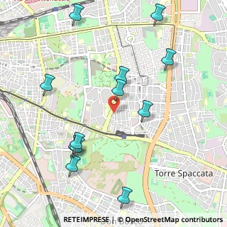 Mappa Via Carpineto, 00172 Roma RM, Italia (1.25333)