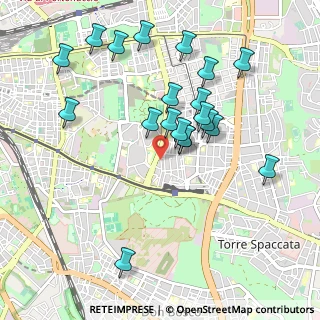 Mappa Via Carpineto, 00172 Roma RM, Italia (1.0335)