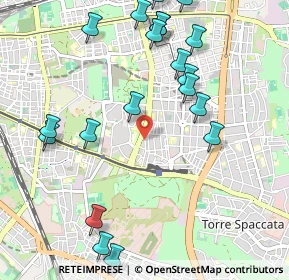 Mappa Via Carpineto, 00172 Roma RM, Italia (1.299)