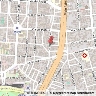 Mappa Via degli Ontani,  24, 00172 Roma, Roma (Lazio)