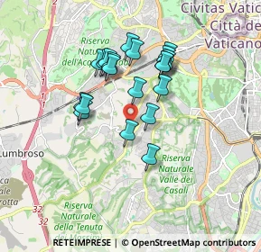 Mappa Via dei Malaspina, 00163 Roma RM, Italia (1.557)