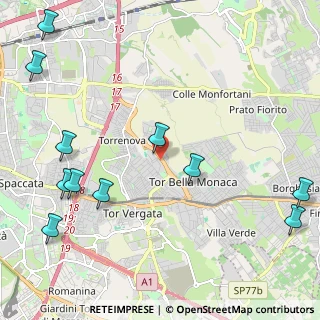 Mappa Viale Pietro Anderloni, 00133 Roma RM, Italia (3.07636)