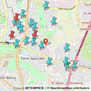 Mappa Via Vincenzo Tineo, 00172 Roma RM, Italia (1.327)