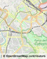 Elaborazione Dati - Servizio Conto Terzi Roma,00179Roma