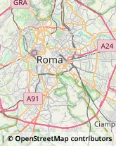 Elaborazione Dati - Servizio Conto Terzi Roma,00144Roma