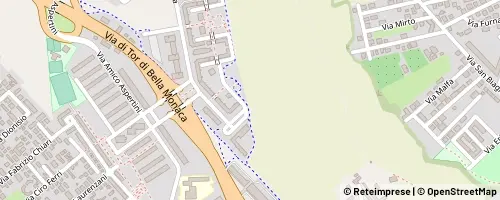 Mappa Roma