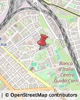 Via Paolo Albera, 45,00181Roma