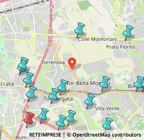 Mappa Via di Tor Bella Monaca, 00133 Roma RM, Italia (3.07412)