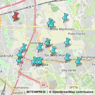 Mappa Via di Tor Bella Monaca, 00133 Roma RM, Italia (2.31412)