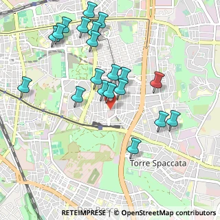 Mappa Via dei Roveri, 00172 Roma RM, Italia (1.1115)