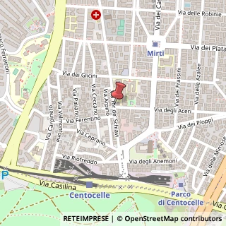 Mappa Via di Tor de' Schiavi,  102, 00172 Roma, Roma (Lazio)