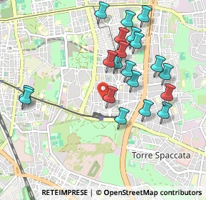 Mappa Via Ferentino, 00172 Roma RM, Italia (1.0265)