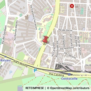 Mappa Viale della Primavera, 317, 00172 Roma, Roma (Lazio)