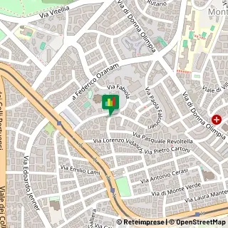 Via Raffaele Balestra, 39,00152Roma