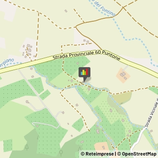 Aziende Agricole Scarlino,58020Grosseto